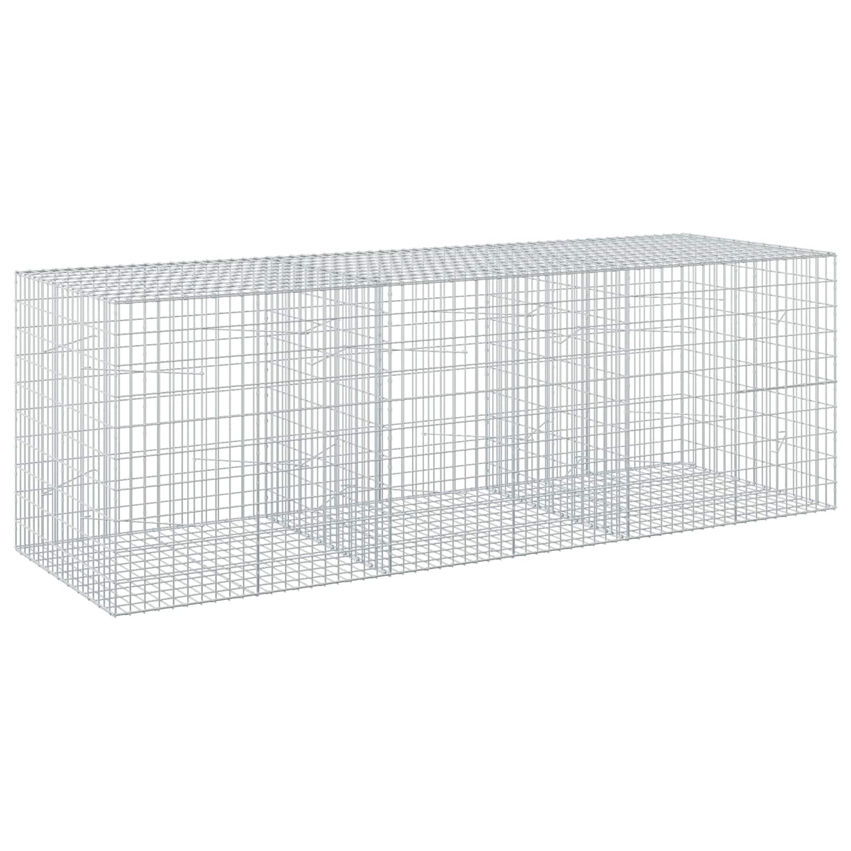 Γκαμπιόν με σύρμα 3,5 mm και πλέγμα 5x10 cm 300x100x100 εκ. - Pakobazaar