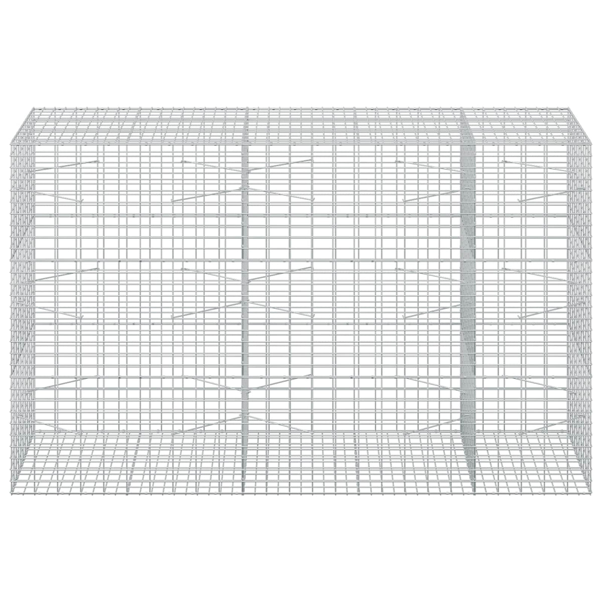 Γκαμπιόν με σύρμα 3,5 mm και πλέγμα 5x10 cm 250x100x150 εκ.