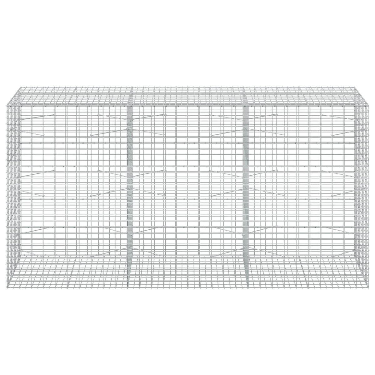 Γκαμπιόν με σύρμα 3,5 mm και πλέγμα 5x10 cm 300x100x150 εκ - Pakobazaar