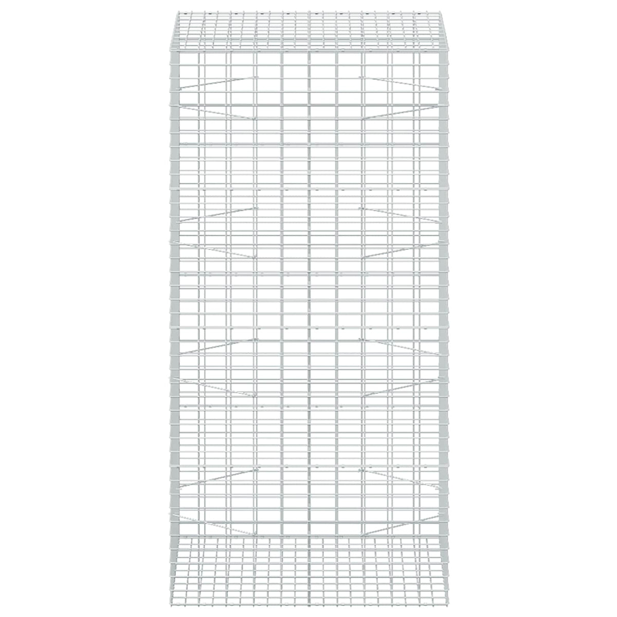 Γκαμπιόν με σύρμα 3,5 mm και πλέγμα 5x10 cm 100x100x200 εκ - Pakobazaar