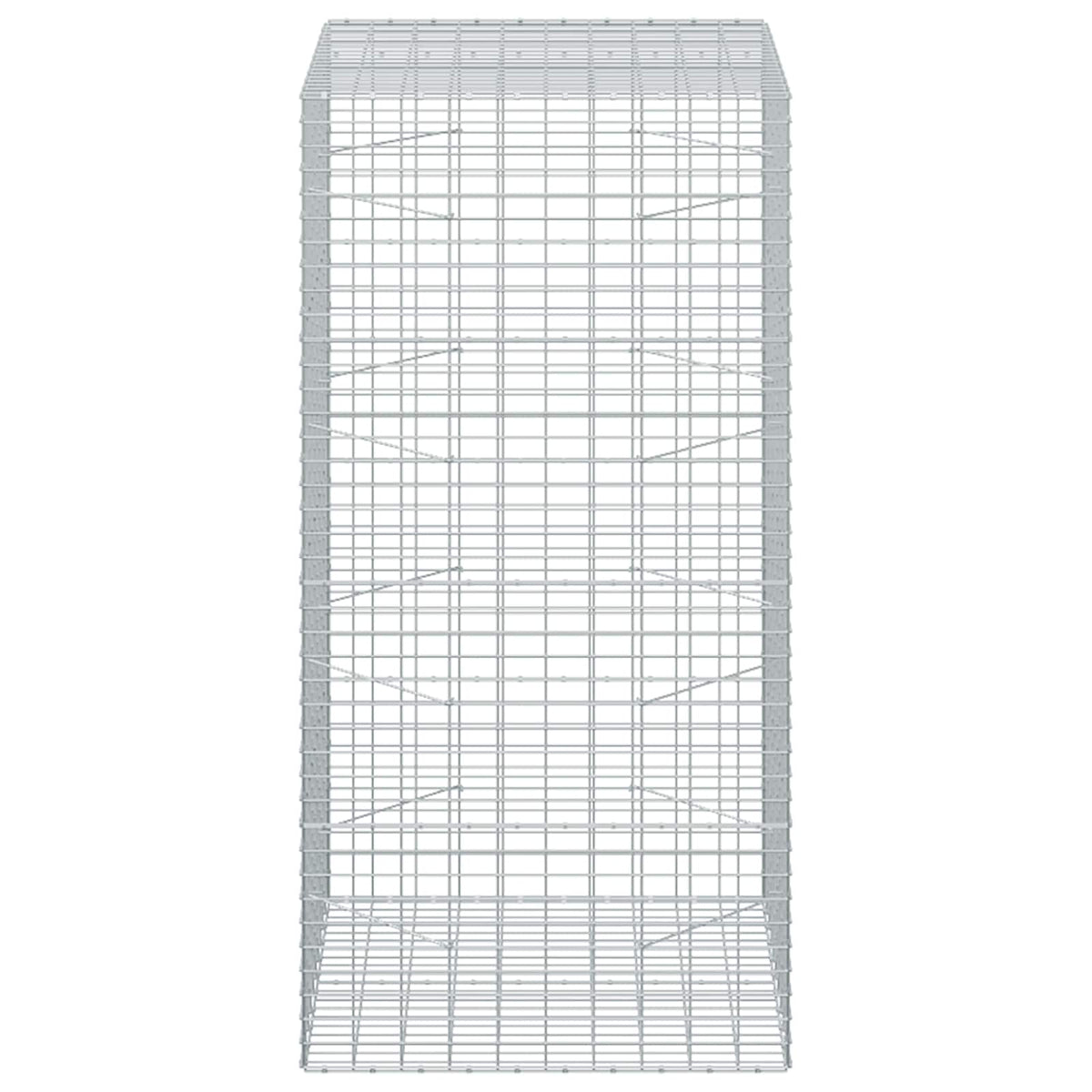 Γκαμπιόν με σύρμα 3,5 mm και πλέγμα 5x10 cm 100x100x200 εκ - Pakobazaar