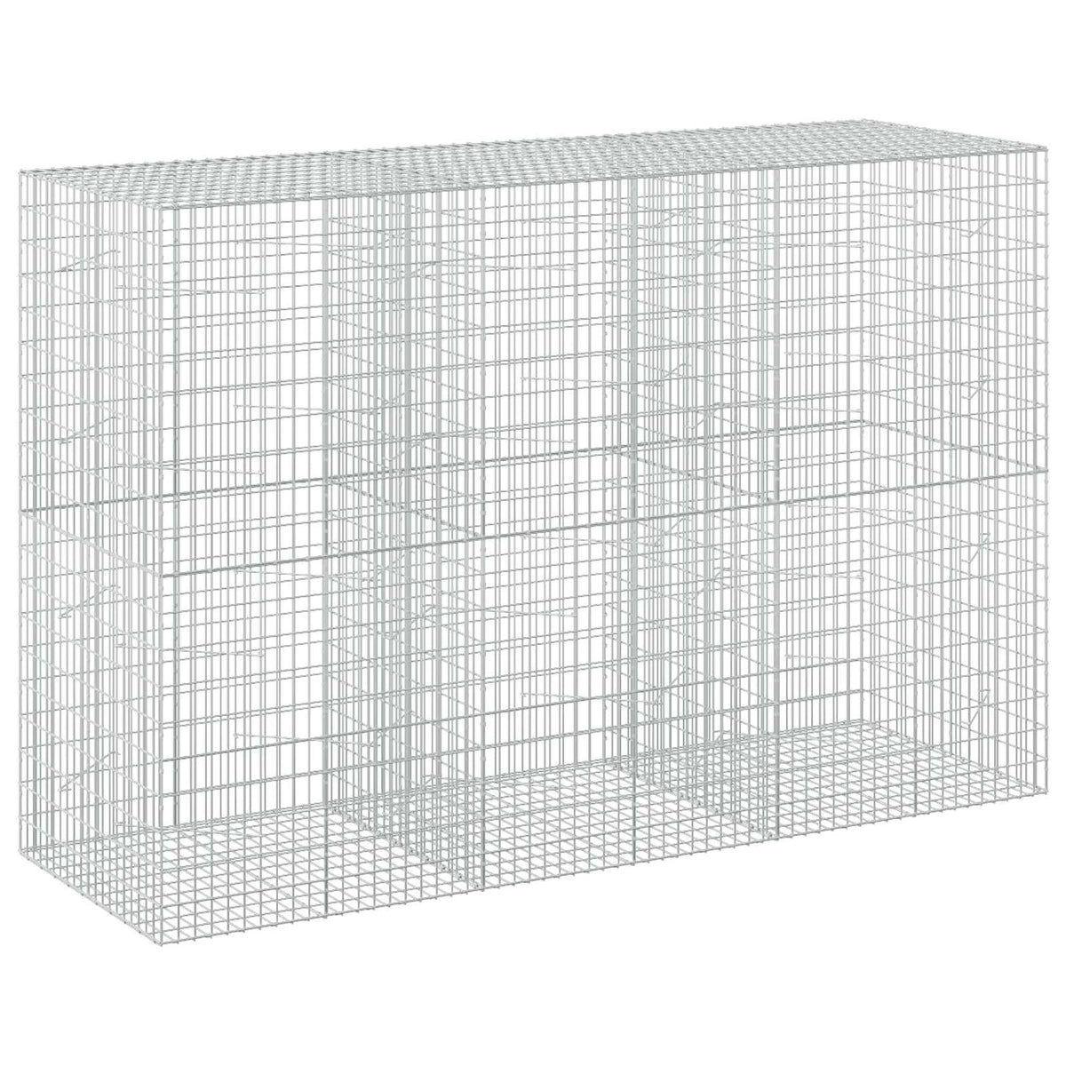 Γκαμπιόν με σύρμα 3,5 mm και πλέγμα 5x10 cm 300x100x200 εκ - Pakobazaar