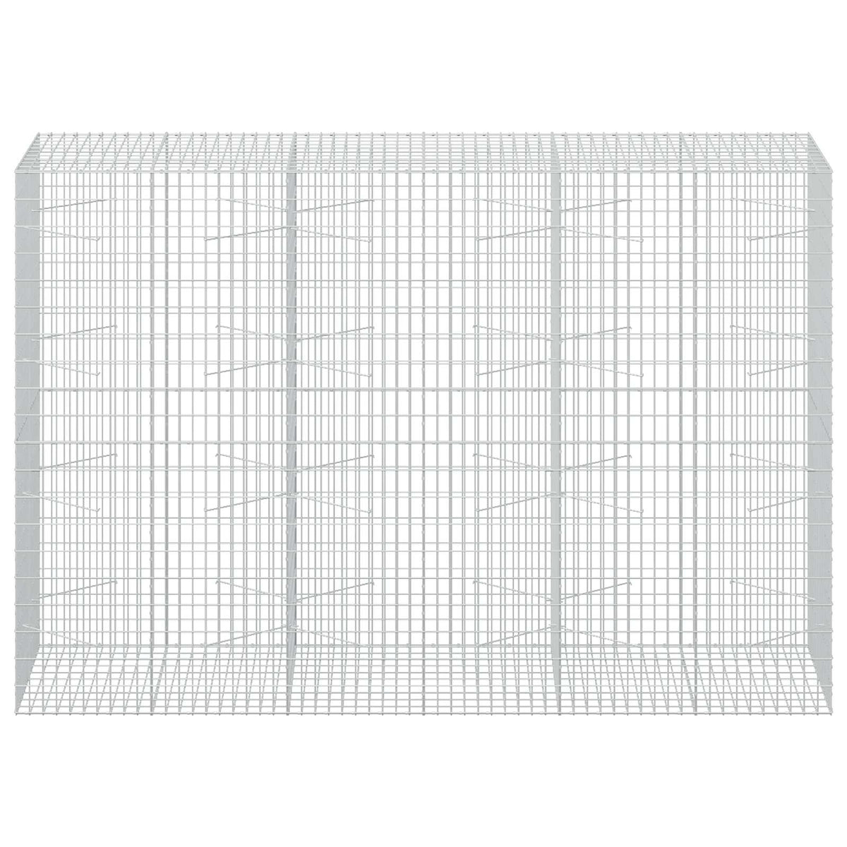 Γκαμπιόν με σύρμα 3,5 mm και πλέγμα 5x10 cm 300x100x200 εκ - Pakobazaar