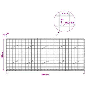 Γκαμπιόν με σύρμα 3,5 mm και πλέγμα 10x10 cm 250x10x100 εκ - Pakobazaar