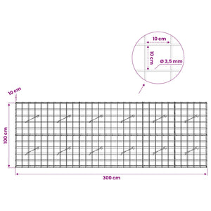 Γκαμπιόν με σύρμα 3,5 mm και πλέγμα 10x10 cm 300x10x100 εκ