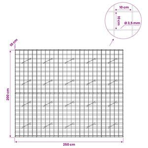 Γκαμπιόν με σύρμα 3,5 mm και πλέγμα 10x10 cm 250x10x200 εκ. - Pakobazaar