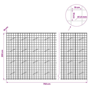 Γκαμπιόν με σύρμα 3,5 mm και πλέγμα 10x10 cm 750x10x200 εκ - Pakobazaar