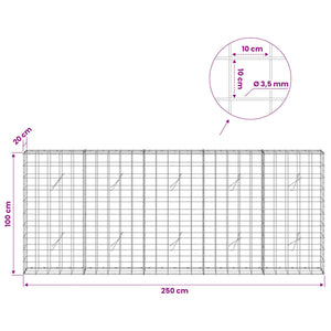 Γκαμπιόν με σύρμα 3,5 mm και πλέγμα 10x10 cm 250x20x100 εκ - Pakobazaar