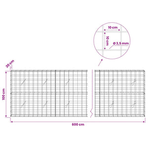Γκαμπιόν με σύρμα 3,5 mm και πλέγμα 10x10 cm 600x20x100 εκ - Pakobazaar