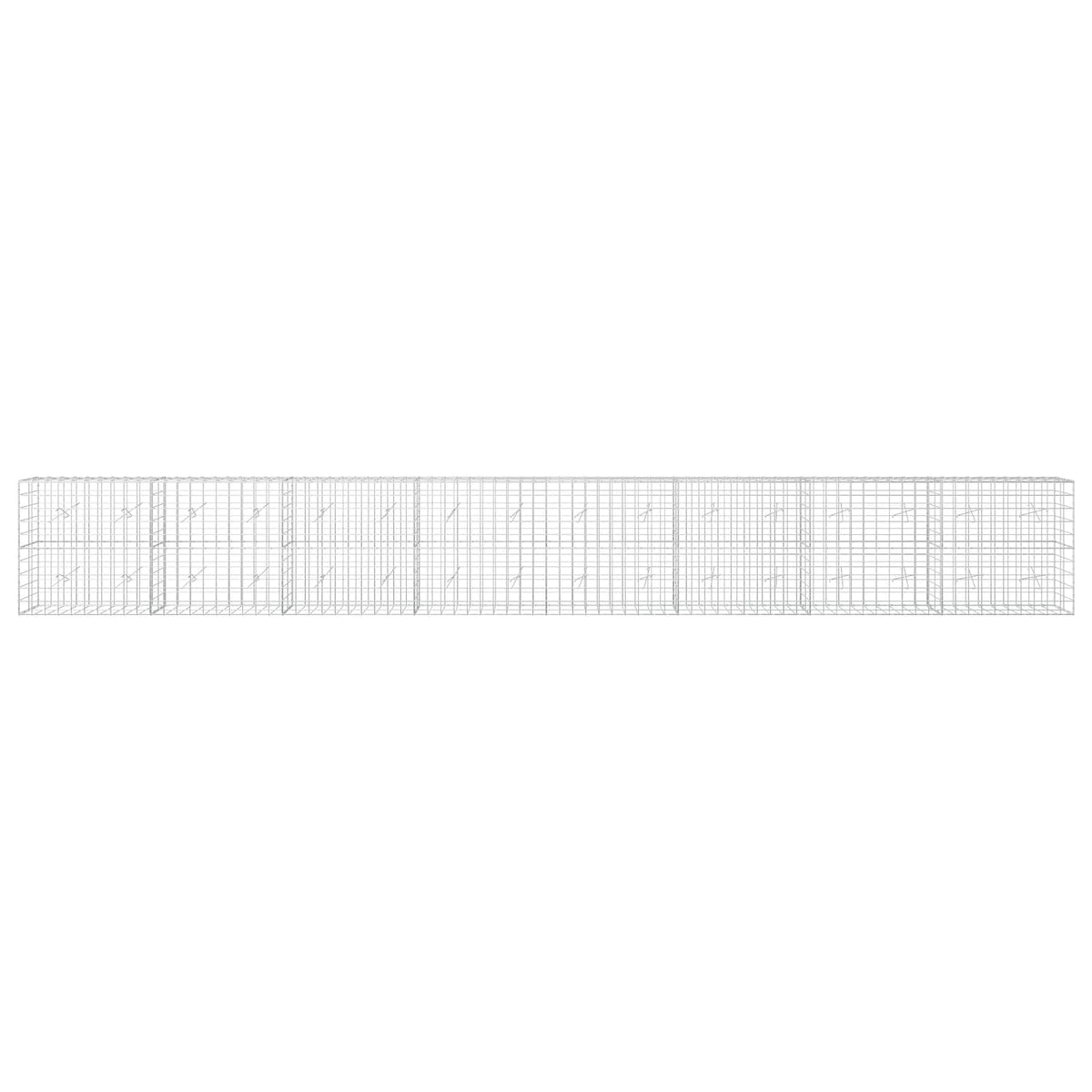 Γκαμπιόν με σύρμα 3,5 mm και πλέγμα 10x10 cm 800x20x100 εκ - Pakobazaar