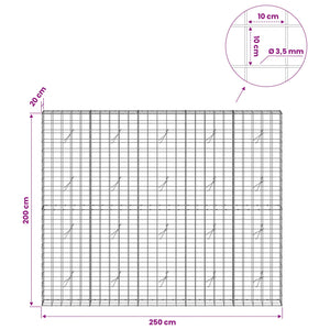 Γκαμπιόν με σύρμα 3,5 mm και πλέγμα 10x10 cm 250x20x200 εκ.