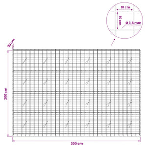 Γκαμπιόν με σύρμα 3,5 mm και πλέγμα 10x10 cm 300x20x200 εκ - Pakobazaar