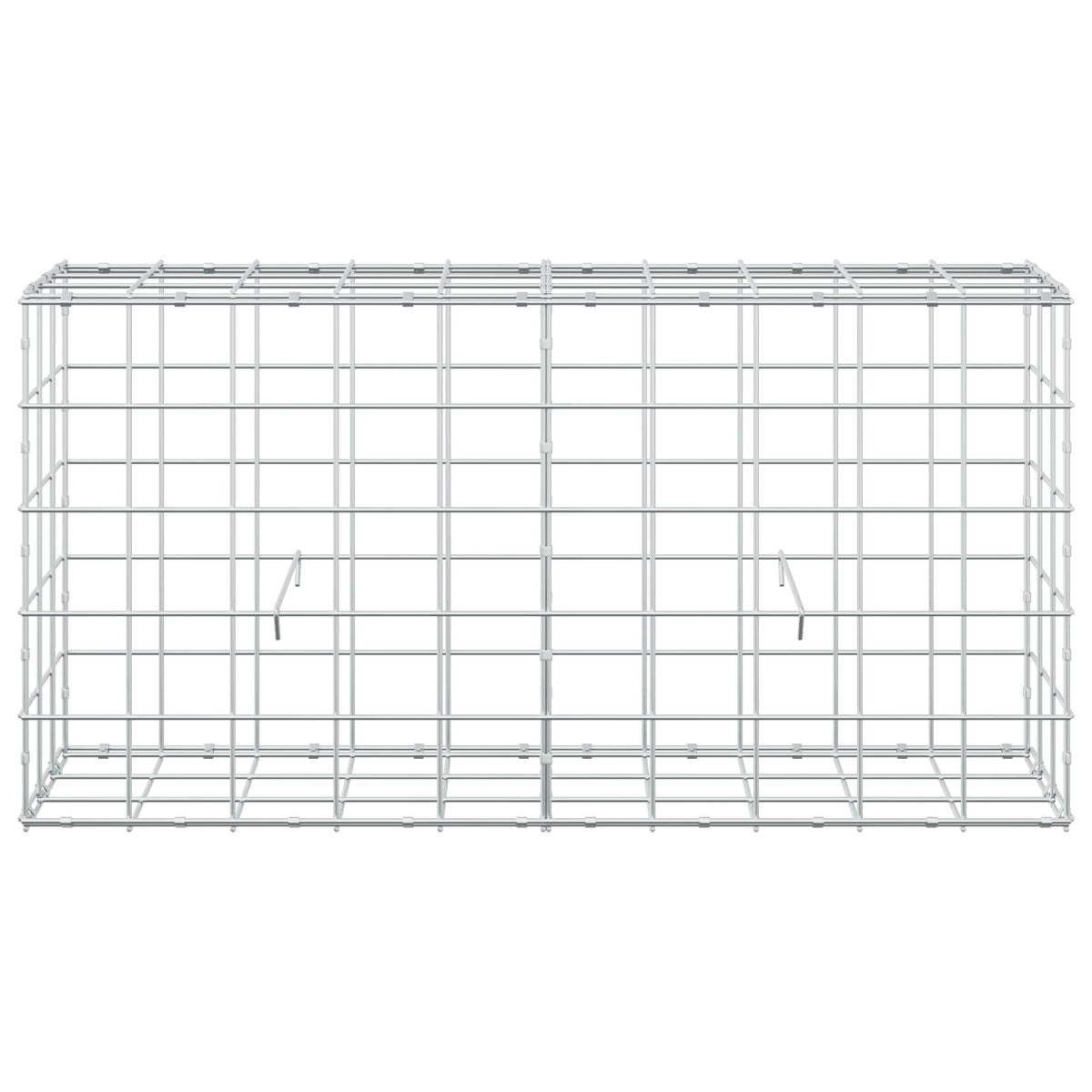 Γκαμπιόν με σύρμα 3,5 mm και πλέγμα 10x10 cm 100x30x50 εκ - Pakobazaar