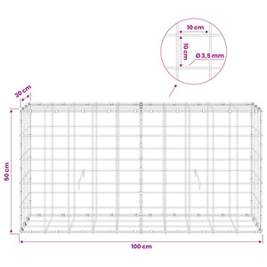 Γκαμπιόν με σύρμα 3,5 mm και πλέγμα 10x10 cm 100x30x50 εκ - Pakobazaar
