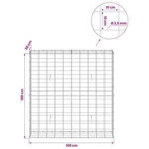 Γκαμπιόν με σύρμα 3,5 mm και πλέγμα 10x10 cm 100x30x100 εκ