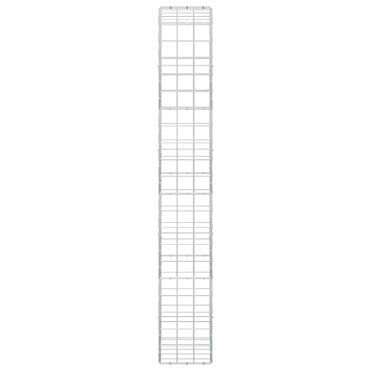 Γκαμπιόν με σύρμα 3,5 mm και πλέγμα 10x10 cm 50x30x200 εκ
