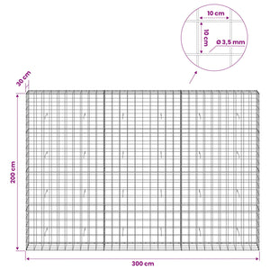Γκαμπιόν με σύρμα 3,5 mm και πλέγμα 10x10 cm 300x30x200 εκ - Pakobazaar