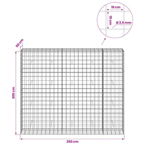 Γκαμπιόν με σύρμα 3,5 mm και πλέγμα 10x10 cm 250x50x200 εκ. - Pakobazaar