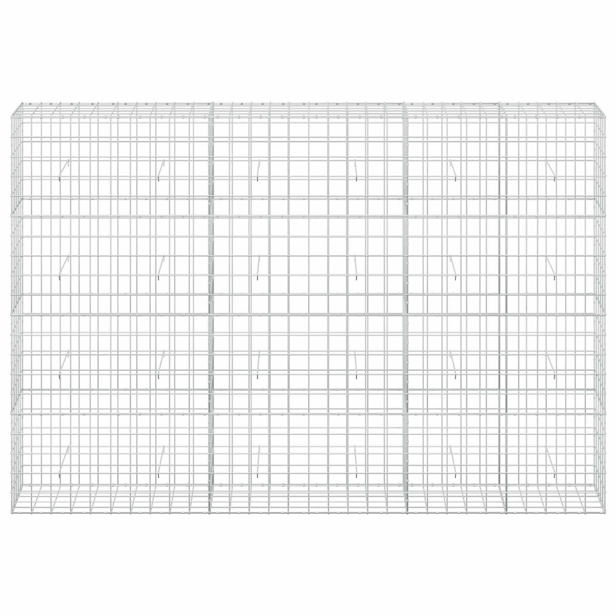 Γκαμπιόν με σύρμα 3,5 mm και πλέγμα 10x10 cm 300x50x200 εκ - Pakobazaar