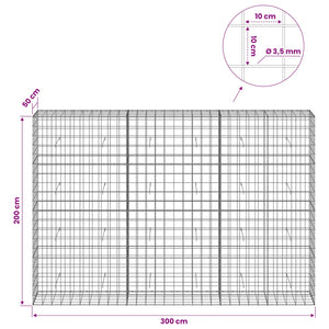 Γκαμπιόν με σύρμα 3,5 mm και πλέγμα 10x10 cm 300x50x200 εκ - Pakobazaar