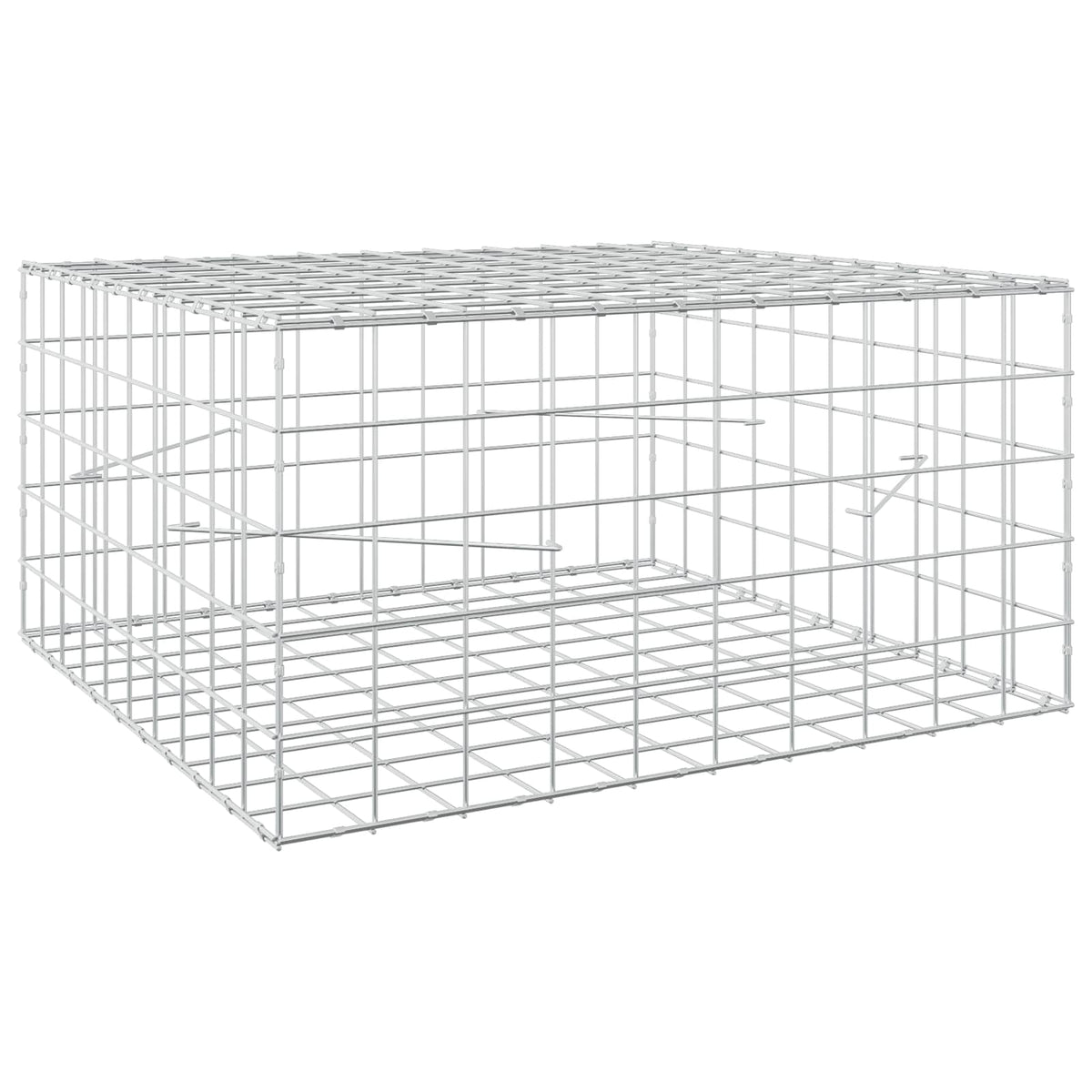 Γκαμπιόν με σύρμα 3,5 mm και πλέγμα 10x10 cm 100x100x50 εκ - Pakobazaar