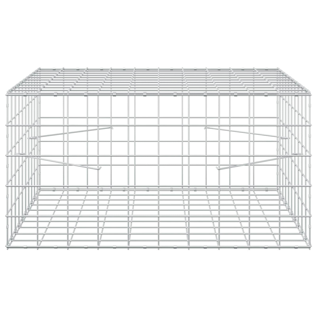 Γκαμπιόν με σύρμα 3,5 mm και πλέγμα 10x10 cm 100x100x50 εκ - Pakobazaar