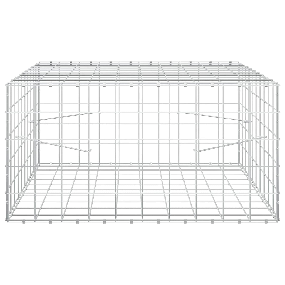 Γκαμπιόν με σύρμα 3,5 mm και πλέγμα 10x10 cm 100x100x50 εκ - Pakobazaar