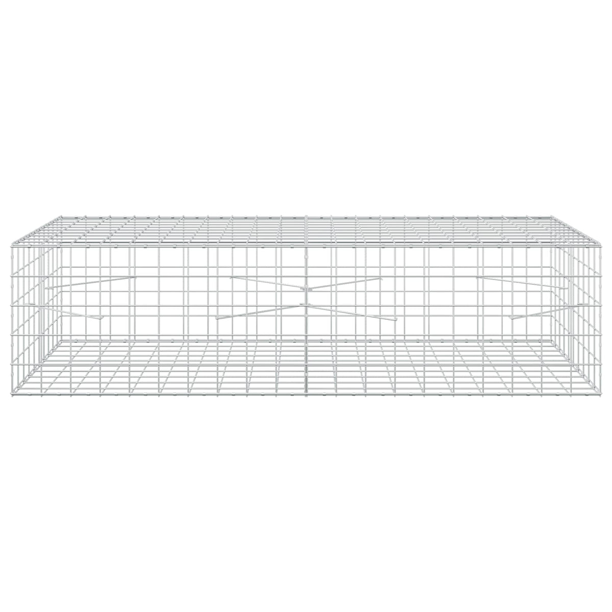 Γκαμπιόν με σύρμα 3,5 mm και πλέγμα 10x10 cm 200x100x50 εκ - Pakobazaar