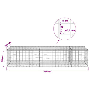 Γκαμπιόν με σύρμα 3,5 mm και πλέγμα 10x10 cm 250x100x50 εκ. - Pakobazaar