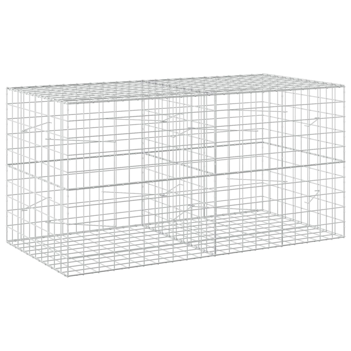 Γκαμπιόν με σύρμα 3,5 mm και πλέγμα 10x10 cm 200x100x100 εκ. - Pakobazaar