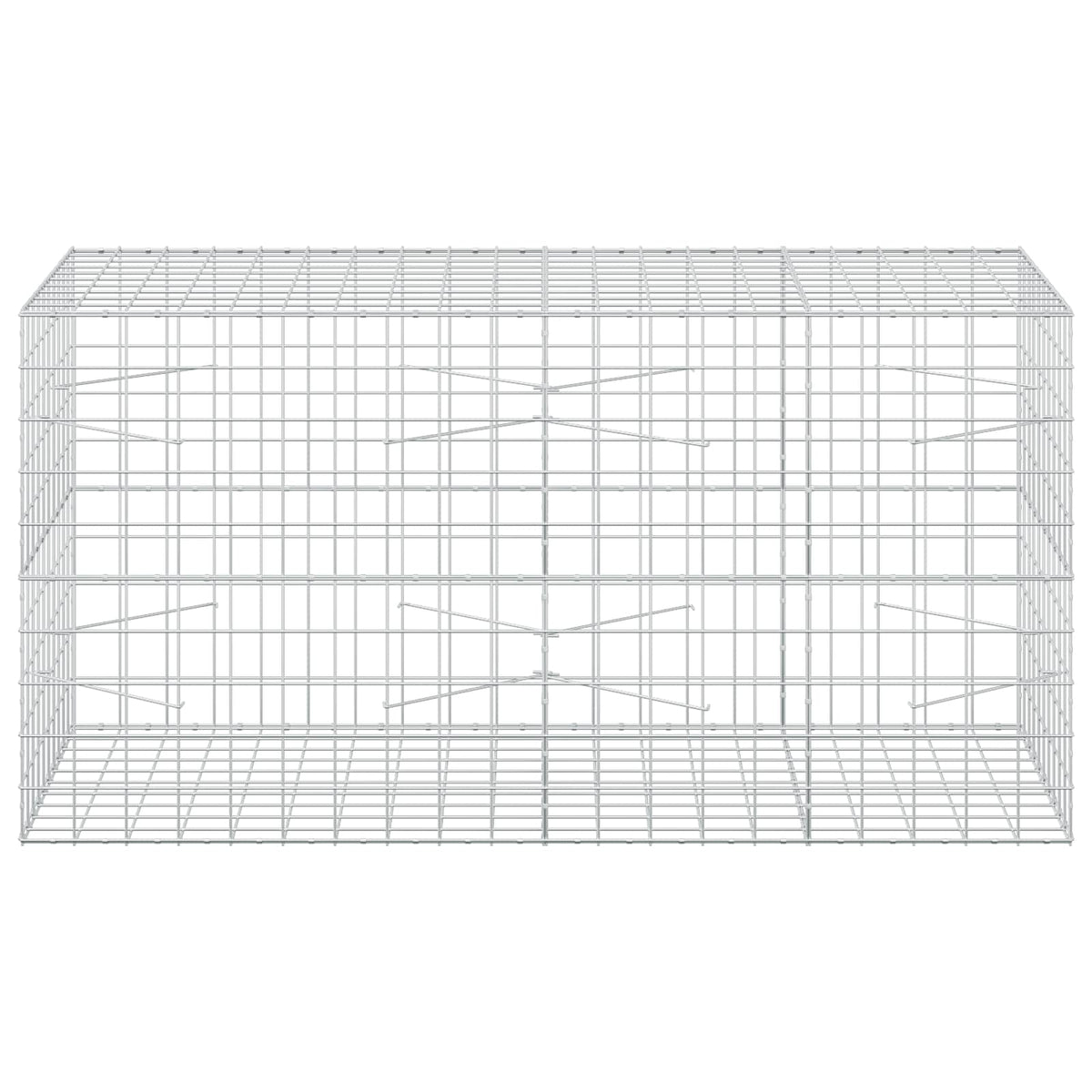 Γκαμπιόν με σύρμα 3,5 mm και πλέγμα 10x10 cm 200x100x100 εκ. - Pakobazaar