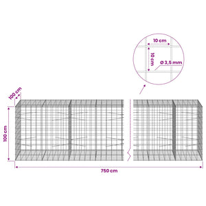 Γκαμπιόν με σύρμα 3,5 mm και πλέγμα 10x10 cm 750x100x100 εκ. - Pakobazaar