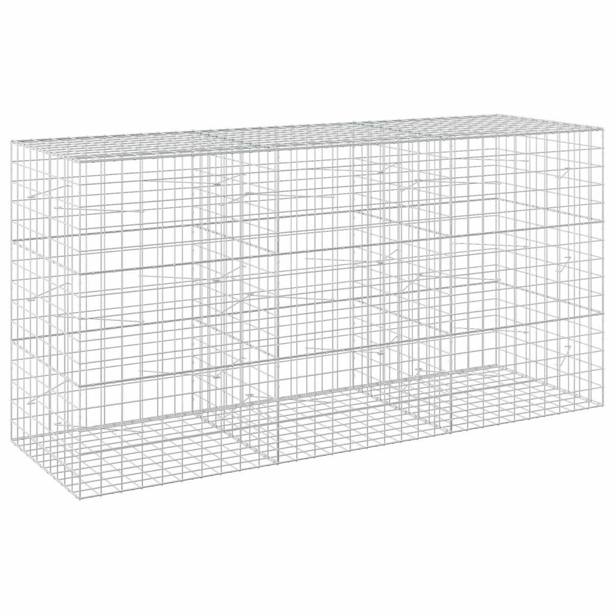 Γκαμπιόν με σύρμα 3,5 mm και πλέγμα 10x10 cm 300x100x150 εκ - Pakobazaar