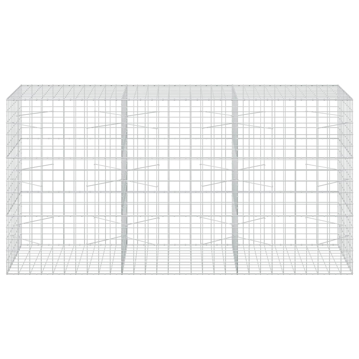 Γκαμπιόν με σύρμα 3,5 mm και πλέγμα 10x10 cm 300x100x150 εκ - Pakobazaar