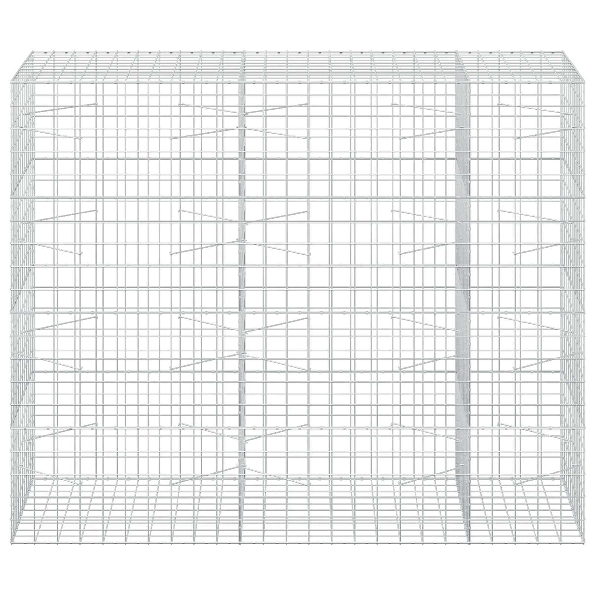 Γκαμπιόν με σύρμα 3,5 mm και πλέγμα 10x10 cm 250x100x200 εκ.