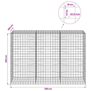 Γκαμπιόν με σύρμα 3,5 mm και πλέγμα 10x10 cm 300x100x200 εκ - Pakobazaar