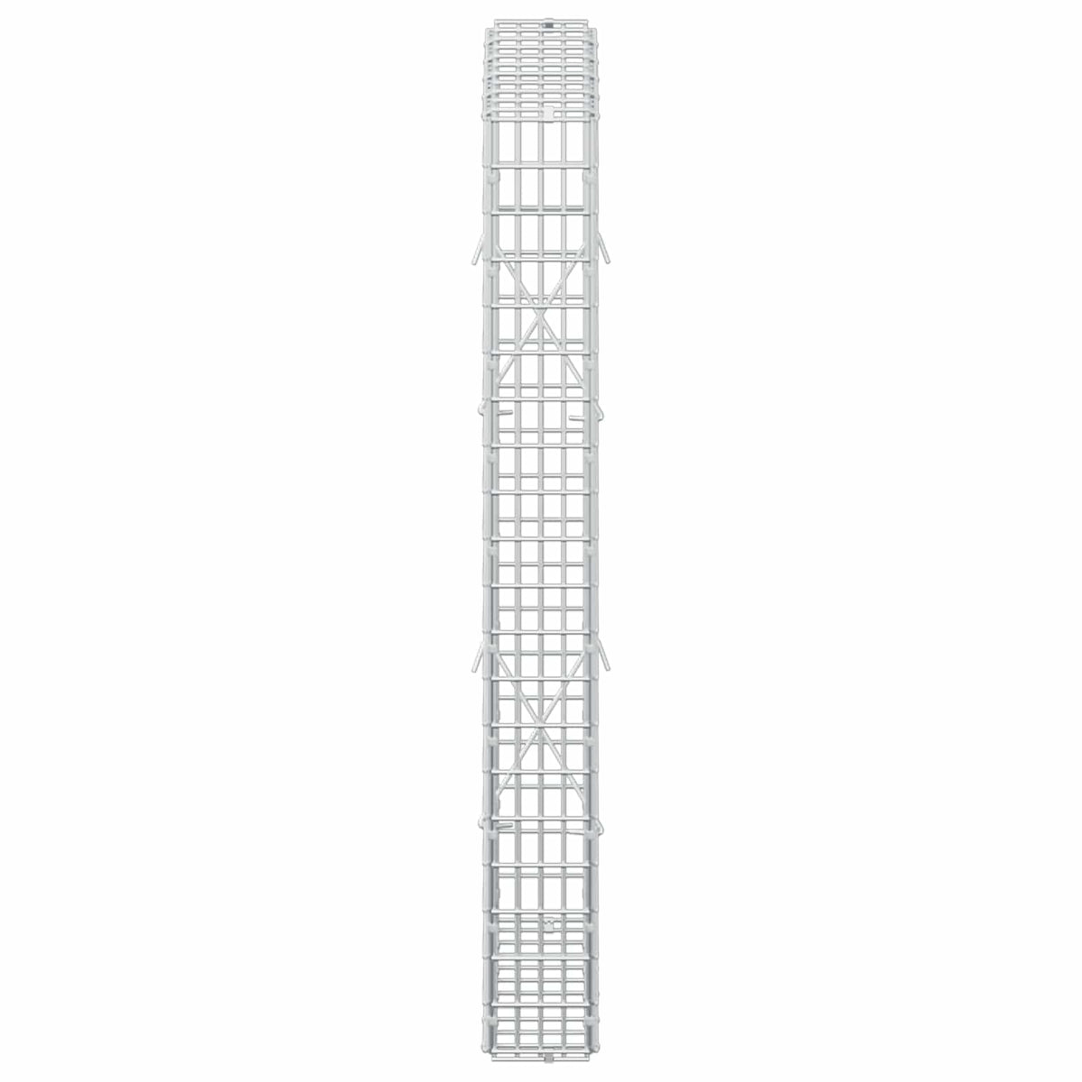 Γκαμπιόν με σύρμα 5 mm και πλέγμα 5x2,5 cm 50x10x100 εκ - Pakobazaar
