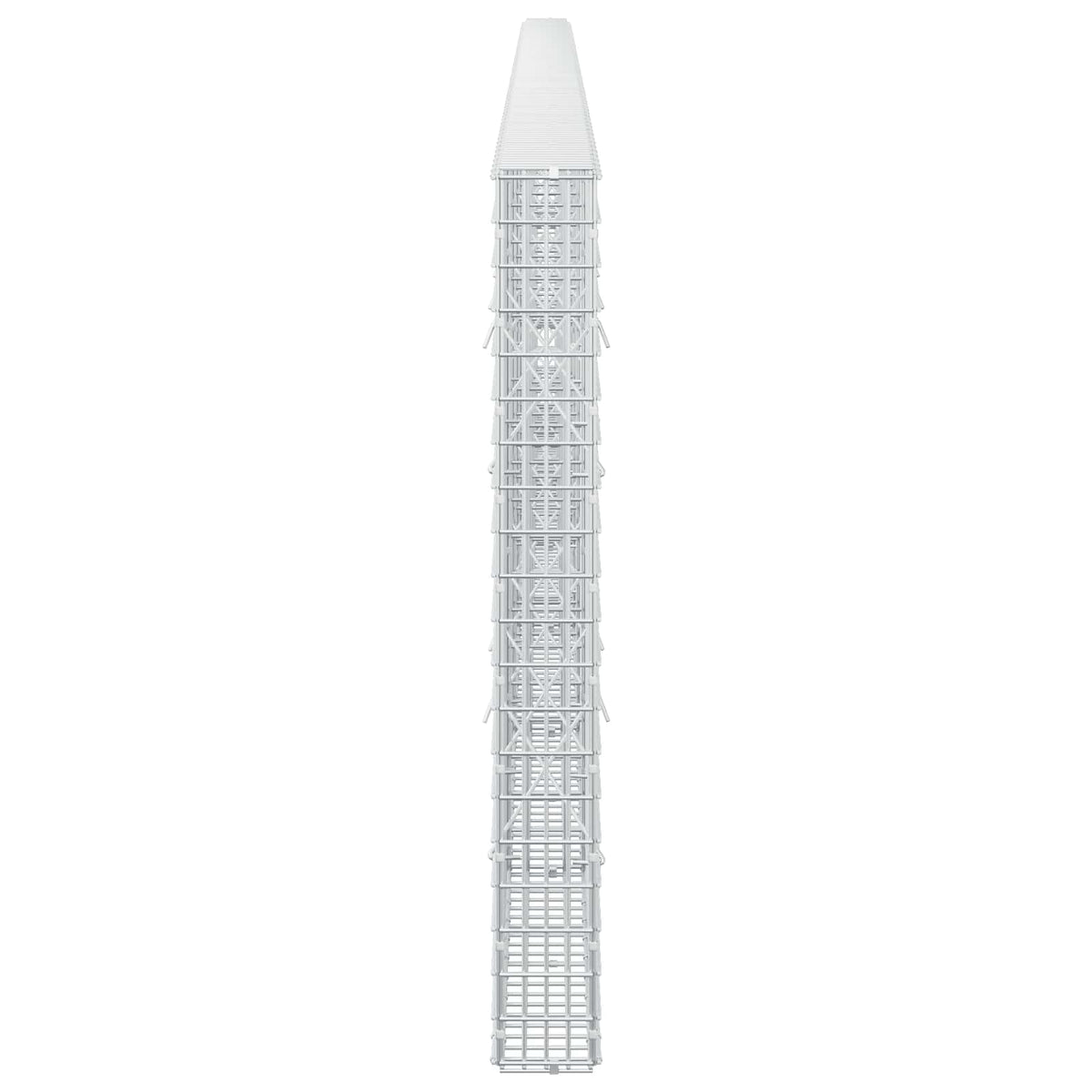 Γκαμπιόν με σύρμα 5 mm και πλέγμα 5x2,5 cm 650x10x100 εκ - Pakobazaar