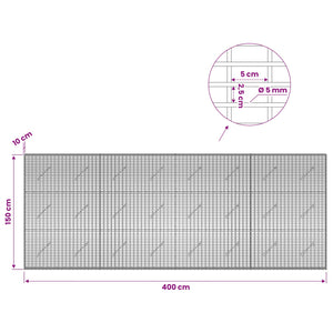 Γκαμπιόν με σύρμα 5 mm και πλέγμα 5x2,5 cm 400x10x150 εκ - Pakobazaar