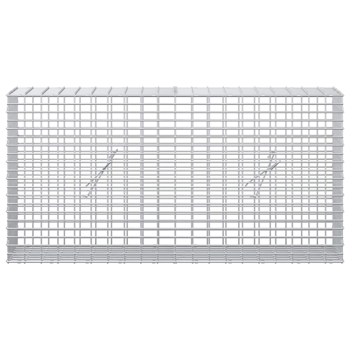 Γκαμπιόν με σύρμα 5 mm και πλέγμα 5x2,5 cm 100x20x50 εκ - Pakobazaar
