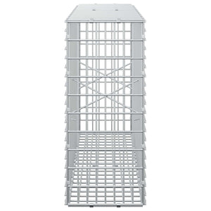 Γκαμπιόν με σύρμα 5 mm και πλέγμα 5x2,5 cm 100x20x50 εκ - Pakobazaar