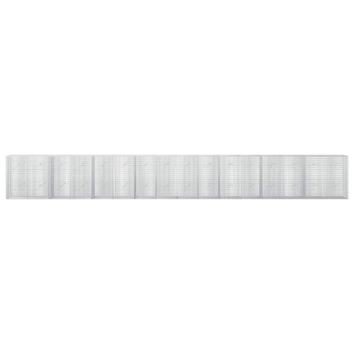 Γκαμπιόν με σύρμα 5 mm και πλέγμα 5x2,5 cm 800x20x100 εκ - Pakobazaar