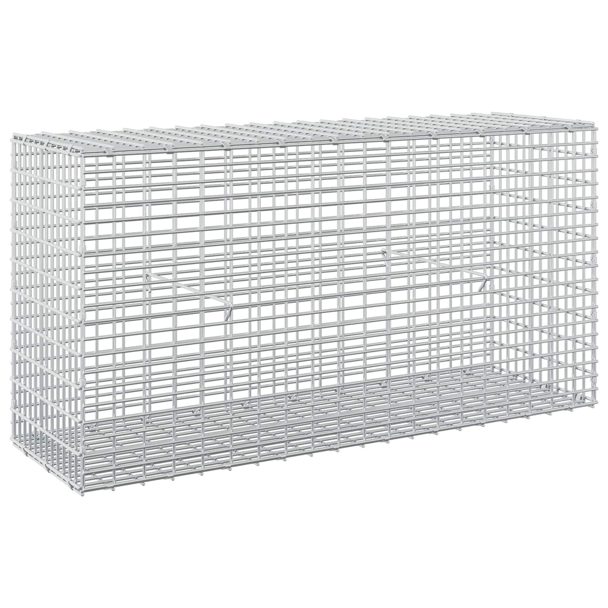 Γκαμπιόν με σύρμα 5 mm και πλέγμα 5x2,5 cm 100x30x50 εκ - Pakobazaar