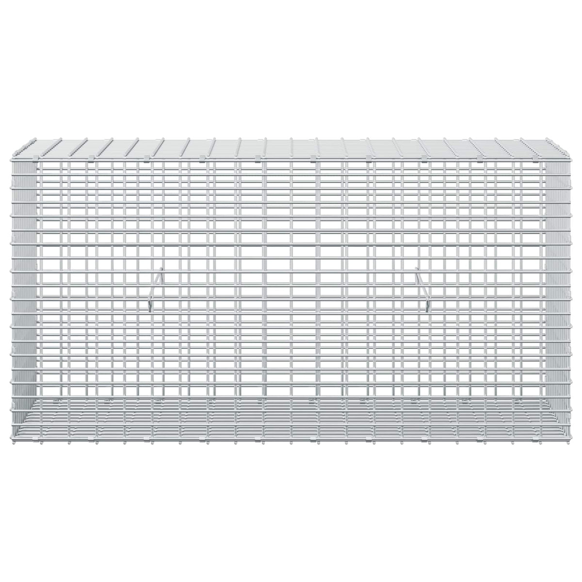 Γκαμπιόν με σύρμα 5 mm και πλέγμα 5x2,5 cm 100x30x50 εκ - Pakobazaar