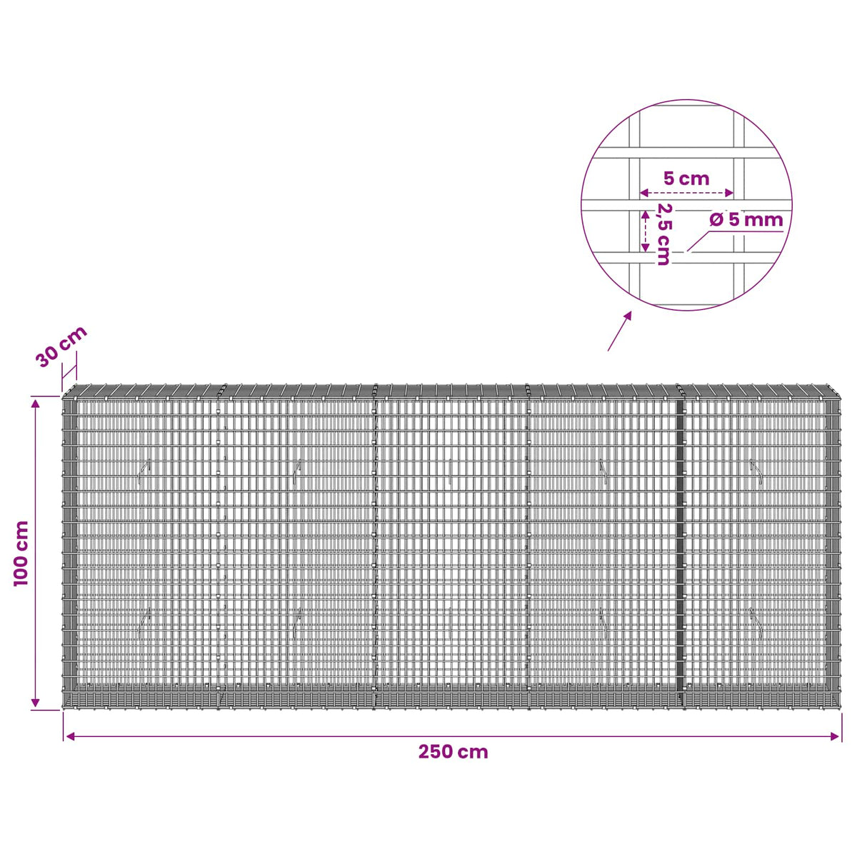 Γκαμπιόν με σύρμα 5 mm και πλέγμα 5x2,5 cm 250x30x100 εκ - Pakobazaar