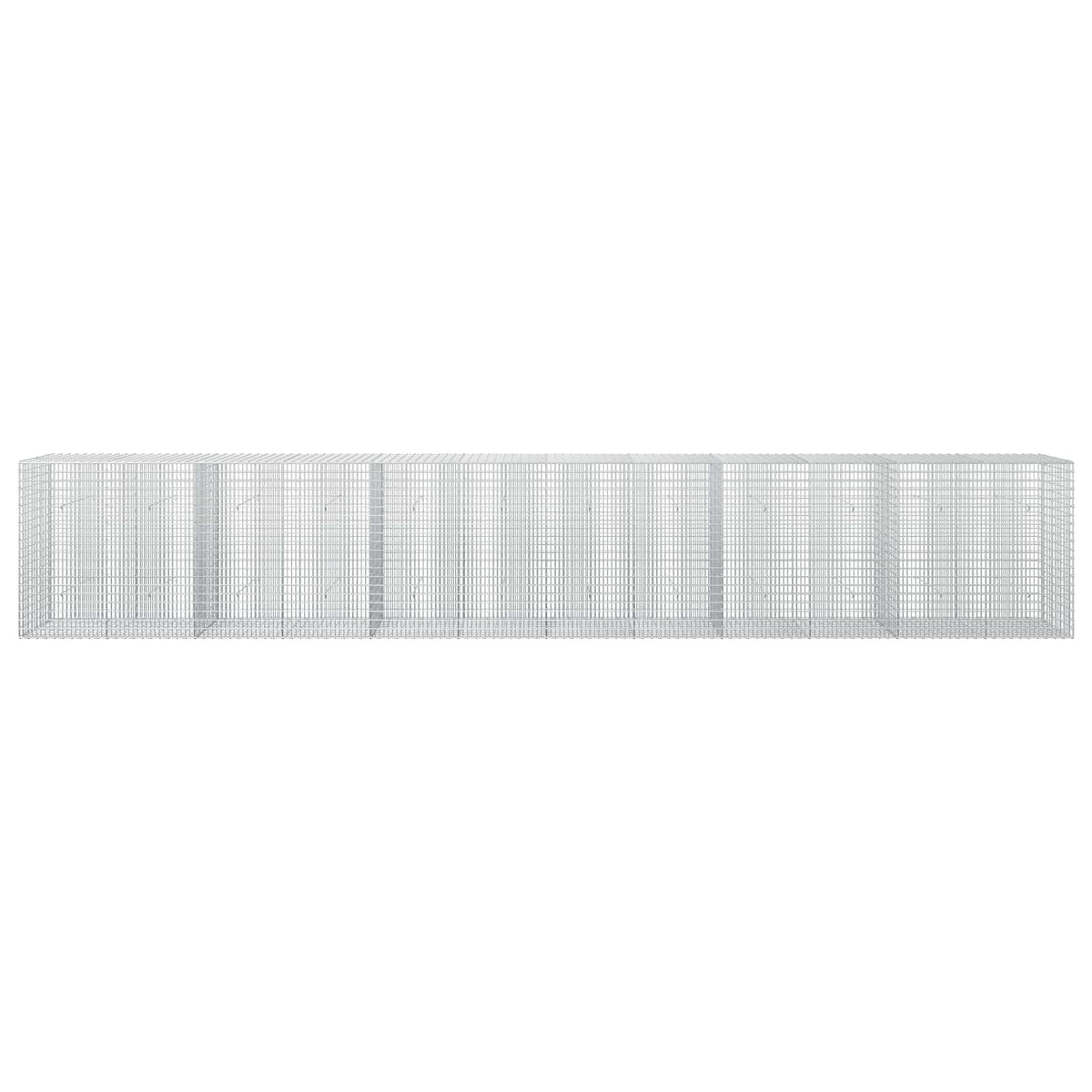 Γκαμπιόν με σύρμα 5 mm και πλέγμα 5x2,5 cm 600x30x100 εκ