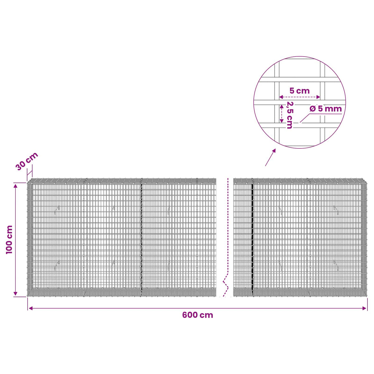 Γκαμπιόν με σύρμα 5 mm και πλέγμα 5x2,5 cm 600x30x100 εκ