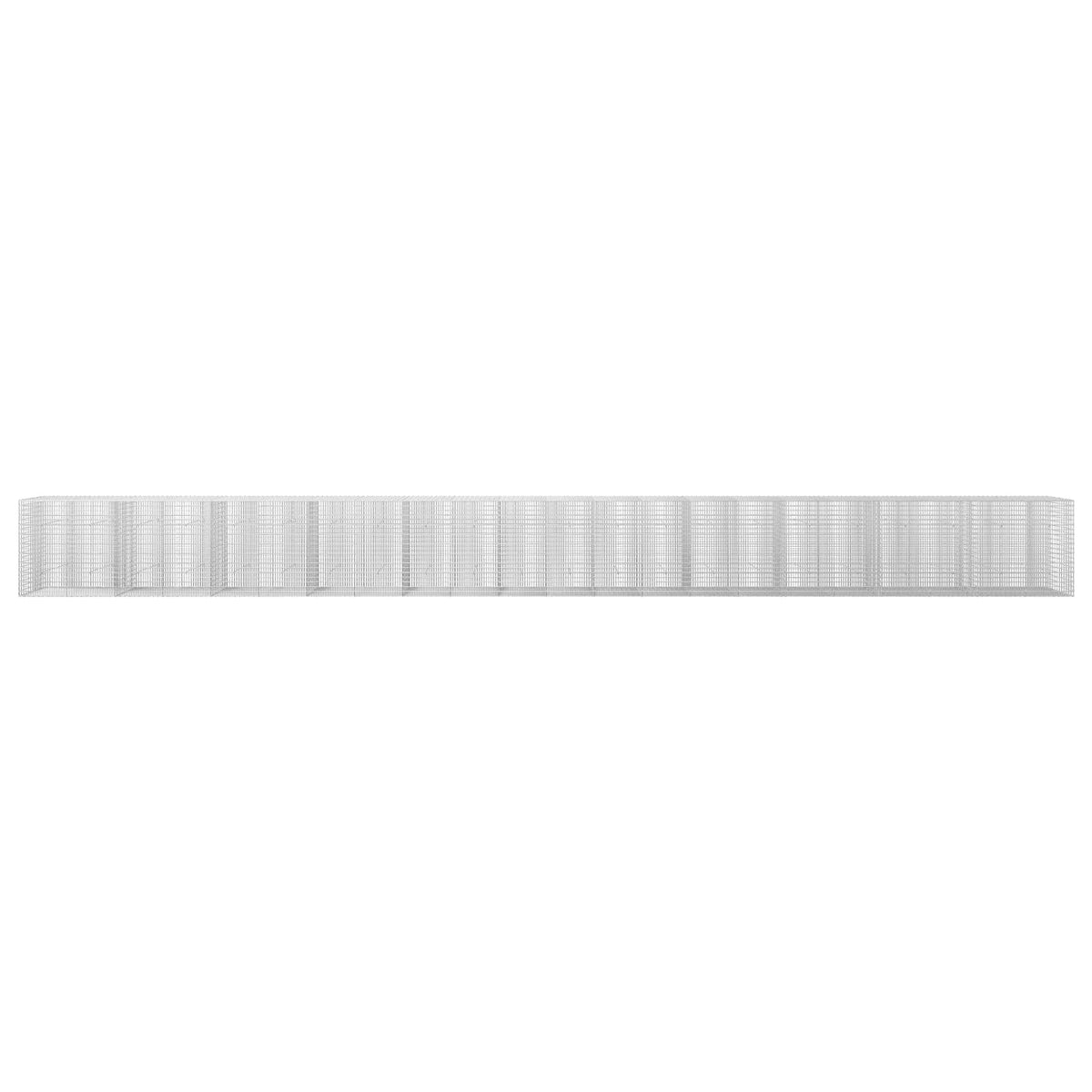 Γκαμπιόν με σύρμα 5 mm και πλέγμα 5x2,5 cm 1100x30x100 εκ