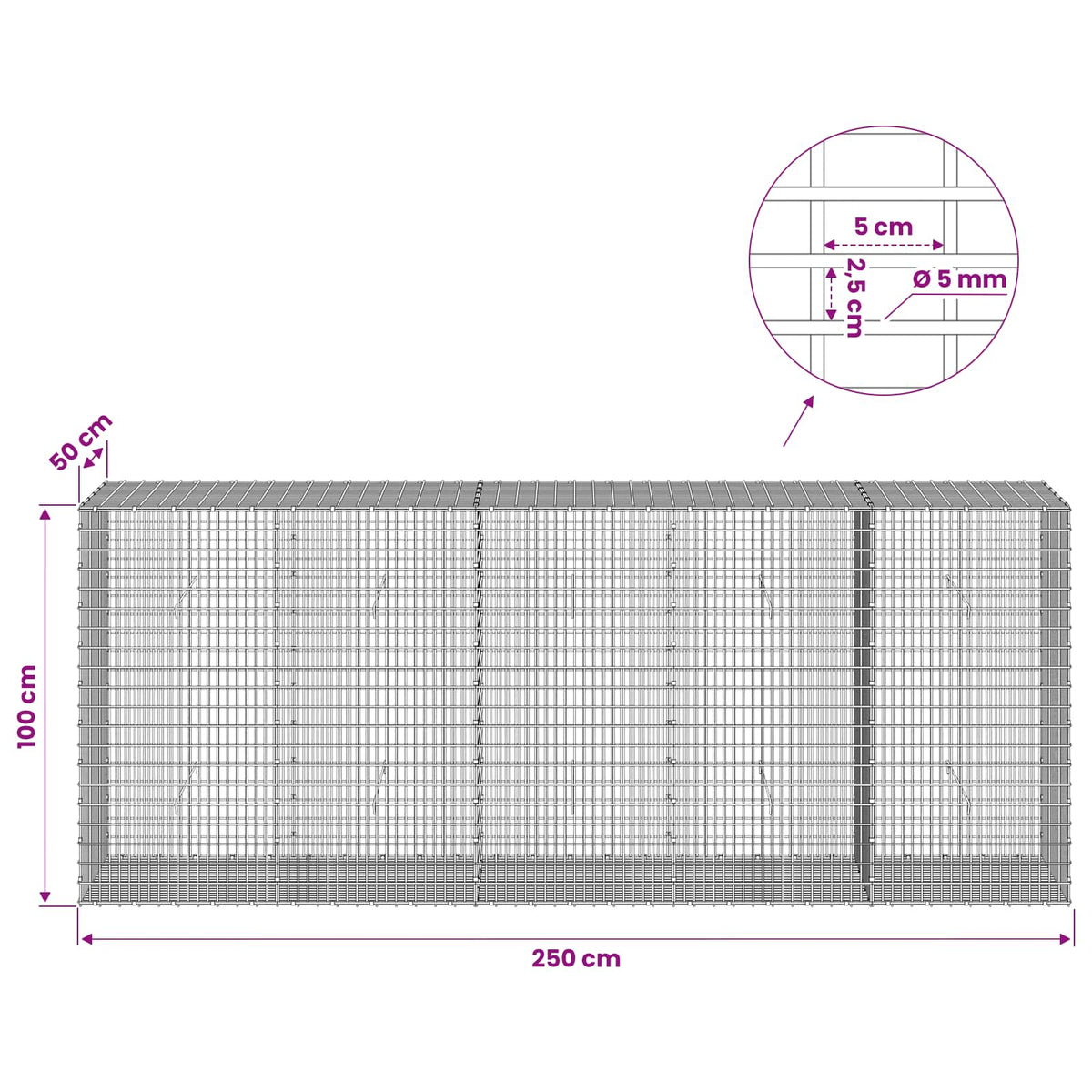 Γκαμπιόν με σύρμα 5 mm και πλέγμα 5x2,5 cm 250x50x100 εκ - Pakobazaar