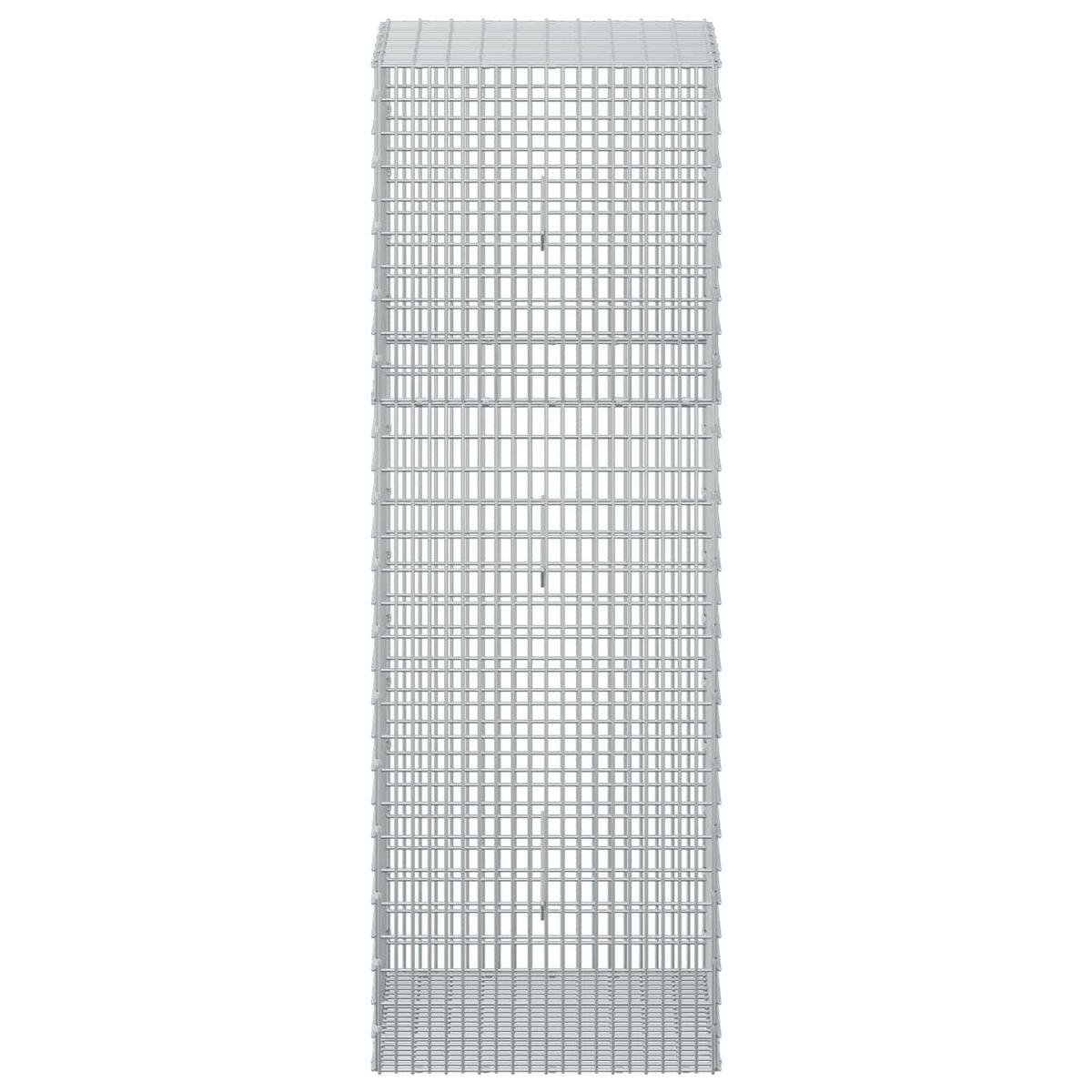 Γκαμπιόν με σύρμα 5 mm και πλέγμα 5x2,5 cm 50x50x150 εκ - Pakobazaar